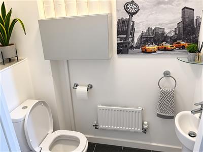 Picture 7